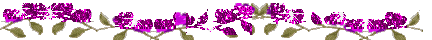 /Files/images/ornament-23.gif